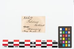 Etikett zu Bronzearmreif (NHMW-PRAE-026617)